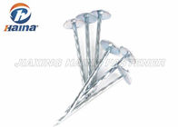 Verzinkte plattieren Q195 Regenschirm-Kopf-Deckungs-Nägel glatten Schaft / Twist Schaft